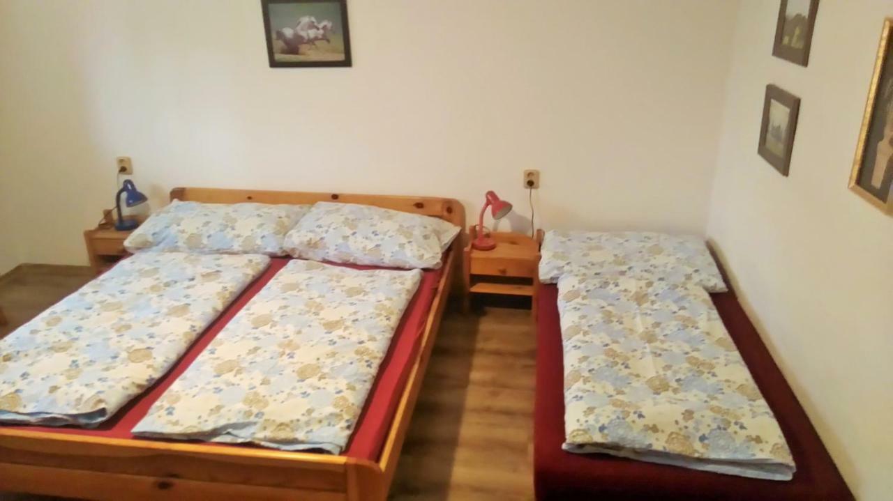 Aqua Homestay *
